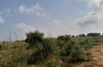 half plot genuinely registered @ dahwenya