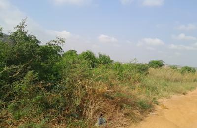 RUSH HOUR ESTATE DEALS ON PLOTS - PRAMPRAM BEACH LANE