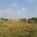 Affordable price offers on plots - dahwenya