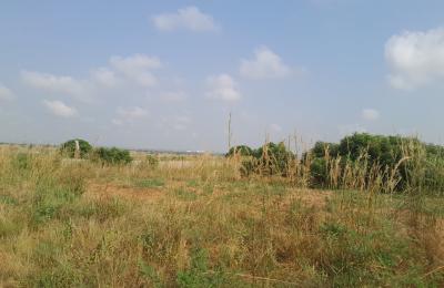 Affordable price offers on plots - dahwenya