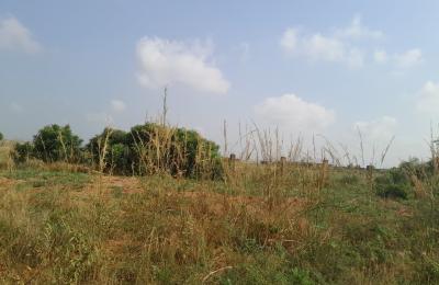 Affordable price offers on plots - dahwenya