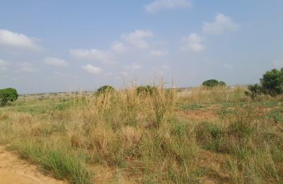 half plot genuinely registered @ dahwenya