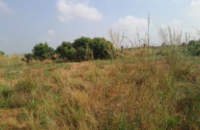 half plot genuinely registered @ dahwenya