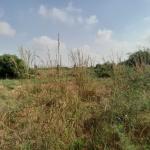 COOL DISCOUNT SLOT ON PLOTS AT DAHWENYA