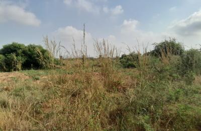 DISCOUNTED SALES ON PROMOTIONAL LANDS - TSOPOLI NEW AIRPORT CITY