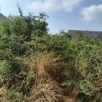 COOL DISCOUNT SLOT ON PLOTS AT DAHWENYA
