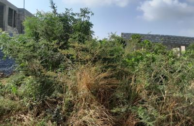 COOL DISCOUNT SLOT ON PLOTS AT DAHWENYA