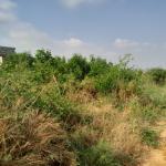 COOL DISCOUNT SLOT ON PLOTS AT DAHWENYA
