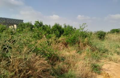 COOL DISCOUNT SLOT ON PLOTS AT DAHWENYA