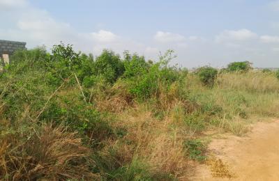 ESTATE HALF PLOT FOR GRABS @ TSOPOLI