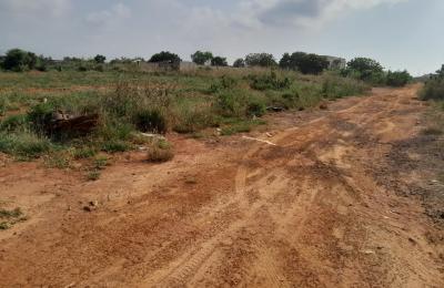 ESTATE HALF PLOT FOR GRABS @ TSOPOLI