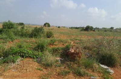 ESTATE HALF PLOT FOR GRABS @ TSOPOLI