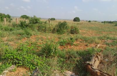 COOL DISCOUNT SLOT ON PLOTS AT DAHWENYA