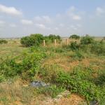ESTATE HALF PLOT FOR GRABS @ TSOPOLI