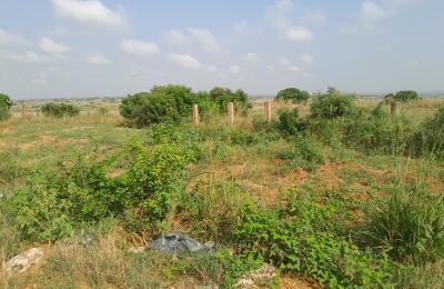 COOL DISCOUNT SLOT ON PLOTS AT DAHWENYA