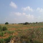 MASSIVE DISCOUNT SLOTS ON REGSITERED LANDS @ DAHWENYA