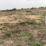 FAMILY FRIENDLY RESIDENTIAL PLOTS // PRAMPRAM BEACH LANE