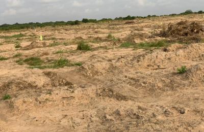 FAMILY FRIENDLY RESIDENTIAL PLOTS // PRAMPRAM BEACH LANE