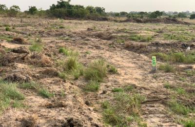 FAMILY FRIENDLY RESIDENTIAL PLOTS // PRAMPRAM BEACH LANE