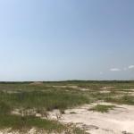 WELL LEVELED ESTATE PLOTS FOR GRAB AT PRAMPRAM BEACH LANE