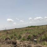 SPECIAL LAND OFFERS ON GATED RESIDENTIAL PLOTS - PRAMPRAM BEACH LANE