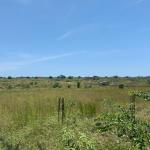 LEGITIMATE TITLED PLOTS + FREE PROMOTION ON LANDS >>> DAHWENYA