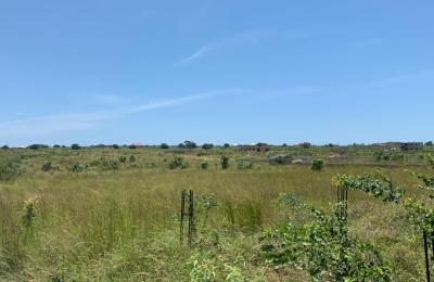 LEGITIMATE TITLED PLOTS + FREE PROMOTION ON LANDS >>> DAHWENYA