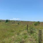 MEGA 45% DISCOUNTS ON ESTATE LANDS >>> DAHWENYA
