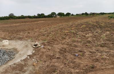 PROMOTION ON HALF PLOT // DOCUMENTED @ PRAMPRAM BEACH LANE