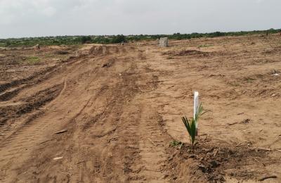 EXQUISITE PRICE REDUCTION ON PLOTS @ PRAMPRAM BEACH LANE