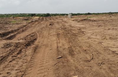 MIND BLOWING REDUCTION ON PLOTS @ TSOPOLI