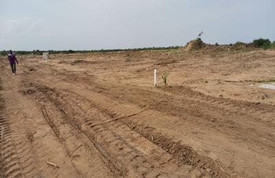 MIND BLOWING REDUCTION ON PLOTS @ TSOPOLI