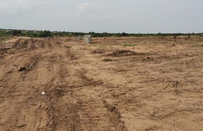 PROMOTION ON HALF PLOT // DOCUMENTED @ PRAMPRAM BEACH LANE