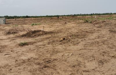 PROMOTION ON HALF PLOT // DOCUMENTED @ PRAMPRAM BEACH LANE