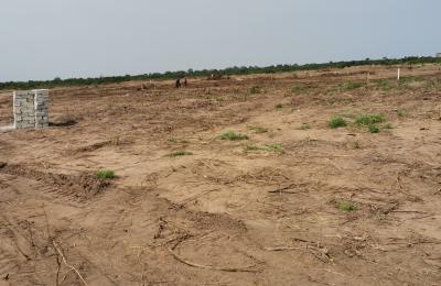 EXQUISITE PRICE REDUCTION ON PLOTS @ PRAMPRAM BEACH LANE