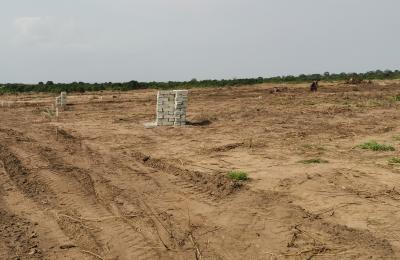 MIND BLOWING REDUCTION ON PLOTS @ TSOPOLI