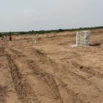 PROMOTION ON HALF PLOT // DOCUMENTED @ PRAMPRAM BEACH LANE