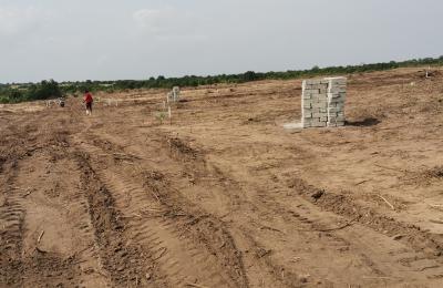PROMOTION ON HALF PLOT // DOCUMENTED @ PRAMPRAM BEACH LANE