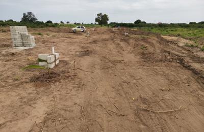 PROMOTION ON HALF PLOT // DOCUMENTED @ PRAMPRAM BEACH LANE