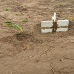 EXQUISITE PRICE REDUCTION ON PLOTS @ PRAMPRAM BEACH LANE