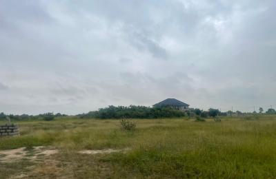 EXECUTIVE PLOTS FOR QUICK GRAB @ DAHWENYA
