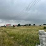 EXECUTIVE PLOTS FOR QUICK GRAB @ DAHWENYA