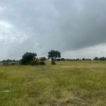 EXECUTIVE PLOTS FOR QUICK GRAB @ DAHWENYA